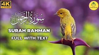 ✅❤️Beautiful voice surah AR Rahman | Quran recitation beautiful tilawat episode 0023