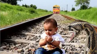 22 Aug | New Trend Invisible Vfx Train Anaconda Funny magic video| Kinemaster editing| Ayan mechanic