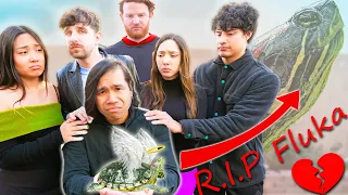 Funeral For A Spy Ninja
