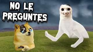 NUNCA LE PREGUNTES ESTO A TU GATO, O TE ARRANCARÁ LOS OJOS - Hilos con cheems