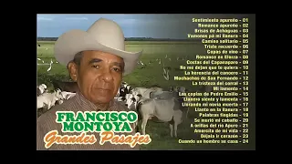 Éxitos de José Francisco Montoya #josefranciscomontoya #parati #yotube #joropo #musicallanera 
