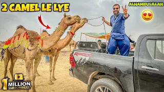 1 million subscribers hogae Alhamdulillah 😍 aur 2 camels bhi le lye 🐪🐫