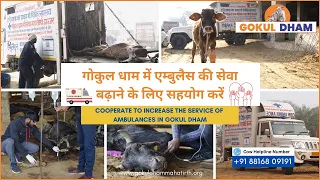 भारत में पहली बार गौमाता के लिए 24 x 7 एम्बुलेंस सेवा। गोकुल धाम महातीर्थ।  झज्जर हरयीणा।