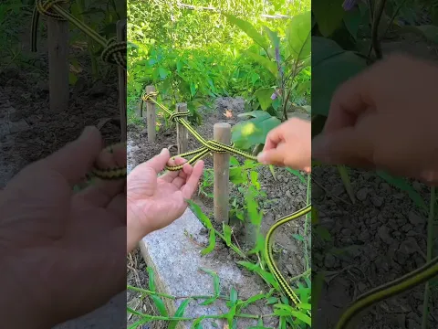 #knot  #knots #outdoors