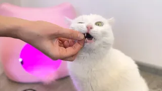 РЕАЛЬНАЯ ЖИЗНЬ С СОФОЙ | ЧУТЬ НЕ ОПОЗДАЛИ НА САМОЛЕТ | СНИМАЕМ ВИРУСНОЕ ВИДЕО С СОФОЙ