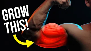 Get BIGGER Arms FAST (ADVANCED TECHNIQUE!)
