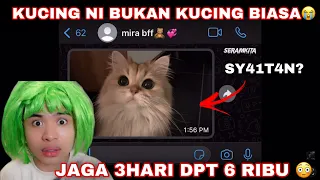NOURROR | KUCING NI BUKAN KUCING BIASA😭| 3 HARI JAGA DPT 6 RIBU😳 … SY4IT4N….