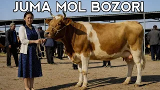 САМАРКАНД ЖУМА МОЛ БОЗОРИ НАРХЛАРИ 2026 | SAMARQAND JUMA MOL BOZORI NARXLARI 2026