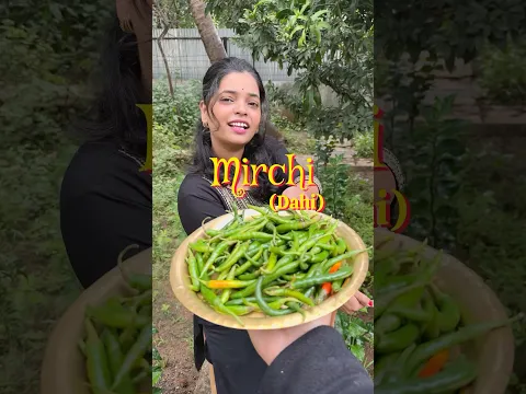 Mirchi (Dahi) or Dahi Mirchi #shorts