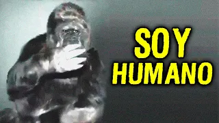 9 animales que hablaron y dejaron extraños mensajes