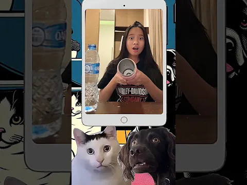 Magic trick 💀 | Huh?!
