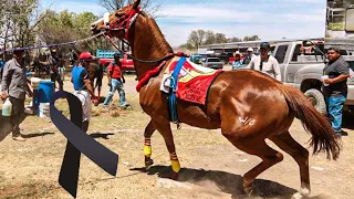 Accidente en Cajones, En Sexteta de Caballos / Abierto de 40 varas.