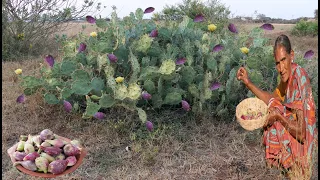 CACTUS FRUIT| Unique Fruit Juice prepared by grandma