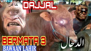 Sapi Dajjal Bermata 3 Ditemukan di Pasar Sapi, Amit Amit Jabang Bayi