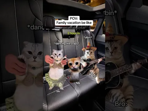 CAT MEMES 🐱Family vacation be like #catmemes #relatable #relationship