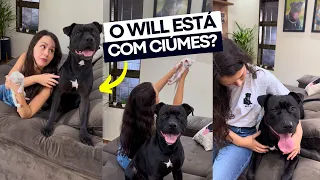AGORA A COCORICÓ SÓ QUER SABER DE GATO! 😤😡 TÔ COM CIÚMES DOS GATINHOS? 🤔