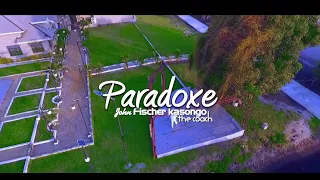 John Fischer - Paradoxe