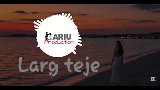 Larg teje - muzik shum e mirë vajtuse prekse 