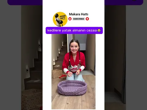 kedilere yatak almanın cezası 😂