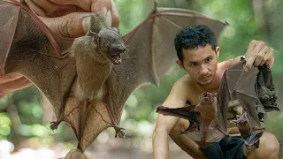 Amazing! Finding Wild Bat In Tree Hole | Cooking Wild Bat Eating So Delicious