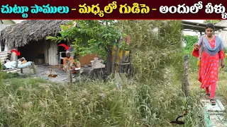 గుడిసెలో ఉంటున్న అవ్వ తాతల స్టోరీ || Anchor Sridevi || Helping Sridevi