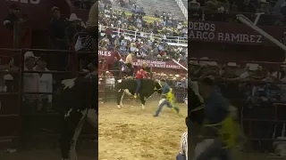 JARIPEO DE LO MEJOR 2024