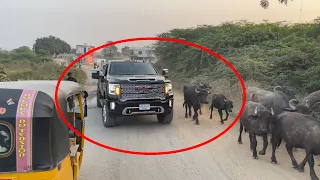 MAFIA GANG In Indian Village | Reactions | India