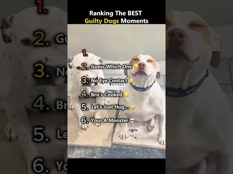 DONT CHECK THE SOUND 😭😭