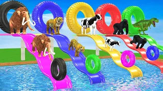 Choose The Right Tire with Cow Tiger Elephant Mammoth Buffalo Gorilla  Wild Animals Scary Teacher