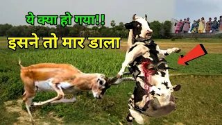 इतना ख़तरनाक कारनामा आज से पहले कभी नहीं देखा होगा 🙈