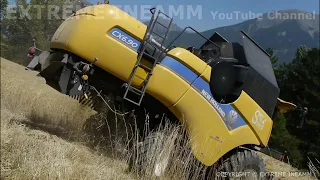 Moisson D'un mur 💪💪 EXTRÊME INEAMM