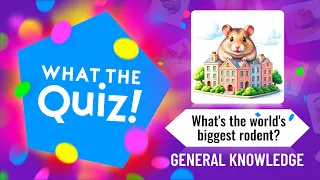 What the Quiz!® Season Three: Episode Six