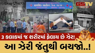 Rajkot | ઉપલેટાના પાટણ વાવ ગામમાં ઝેરી જંતુ કરડવાથી ગામ લોકોમાં ફફડાટ