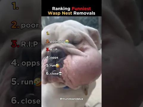 DON'T CHECK THE SOUND 😭😭