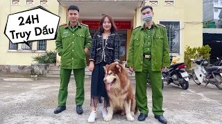 Hành Trình 24H Tìm Mật Mất Tích Ở Đà Lạt - 24 hours to find the missing dog