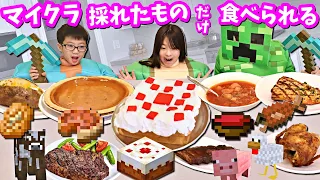 マイクラ で採れた物だけが 本日の夜ごはんです😝 【Minecraft】