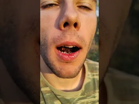 KILLER HORNET CHALLENGE🥵 Don't try it