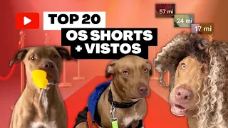 Os 20 Shorts Mais Vistos Do Canal | VIRALIZOU 🤩