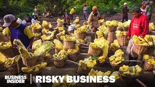 Mining For 'Devil's Gold,' One Of The World's Most Dangerous Jobs | Risky Business