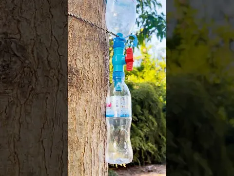 SAVE Water with This Simple Tip! Hacks