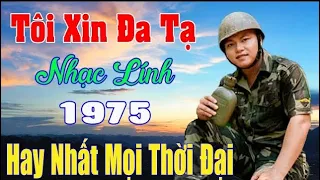 Tôi Xin Đa Tạ, Thị Trấn Về Đêm...Liên Khúc Rumba Lính Hải Ngoại Vượt Thời Gian, Đắm Say Bao Thế HỆ