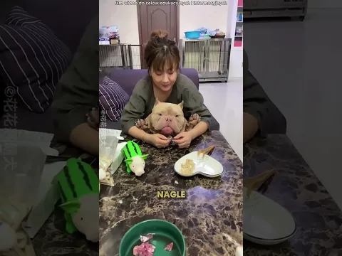 Suczka Została Mamą Po Raz Pierwszy 🥺❤️