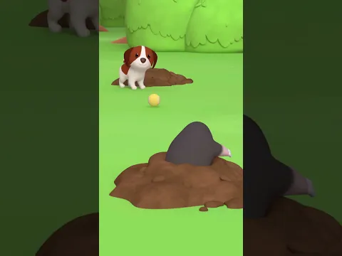 ¡Encuentra al topo! 🐀 | Leo, El Explorador | #shorts #animales #diversión