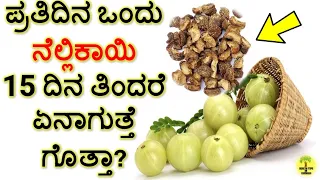 ಬೆಟ್ಟದ ನೆಲ್ಲಿಕಾಯಿ ಉಪಯೋಗಗಳು | Health Benefits of Amla ( indian Gooseberry)