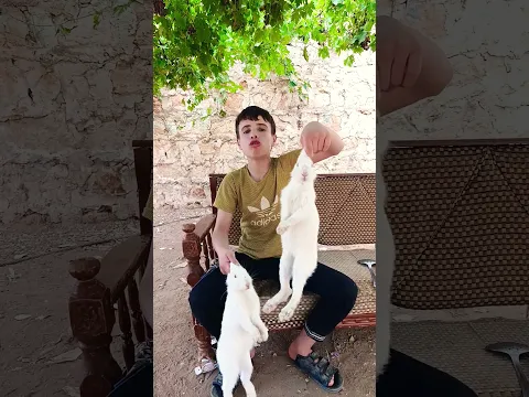 مو حلوة 😂 #cat #comedy #اهميه #funny #اعتني #اهميه #cat #comedy #funny #اعتني #اكسبلور #النظافه #cut