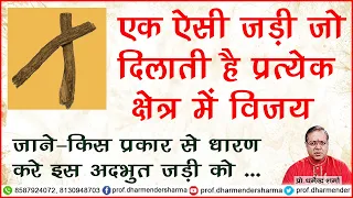 एक ऐसी जड़ी जो दिलाती है प्रत्येक क्षेत्र में  विजय जाने  प्रो. धर्मेन्द्र शर्मा ...