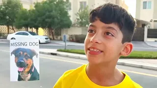 Jason और alex dog को ढूंढते हैं | Jason vlogs hindi dog | Jason and alex detective in hindi