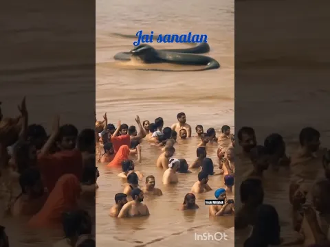 Prayagraj mahakumbh#new#sanatan#2025 kumbh#trending video#short#ytshort#short