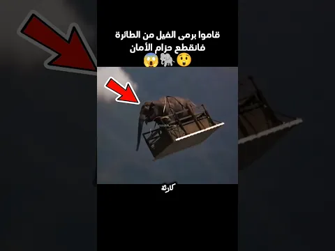 الفيل سقط من الطائرة بدون مظلة!🐘😱