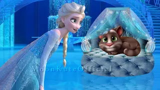 Let It Go - the lost kitten !